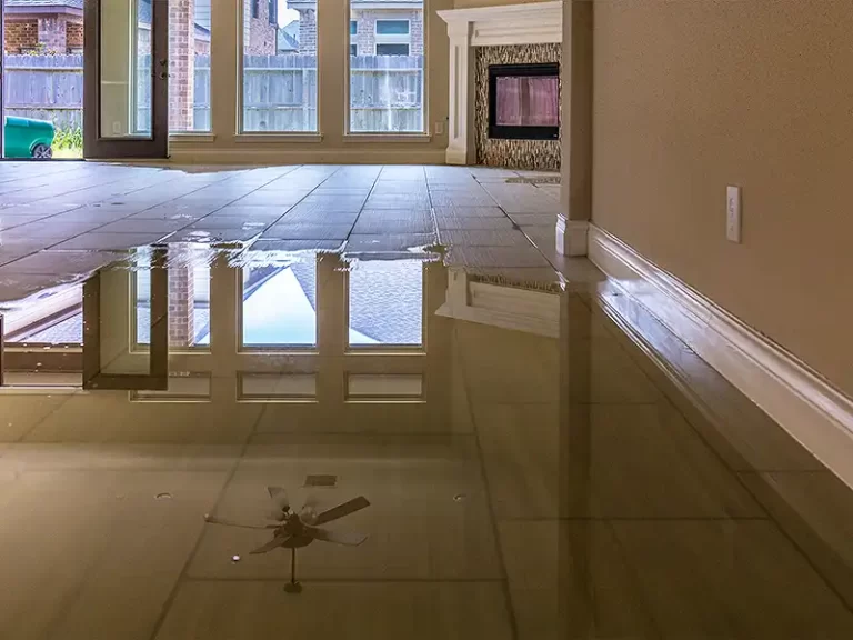 Basement drying setup with air movers and dehumidifier after water damage