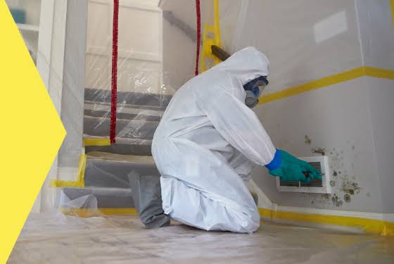 Mold remediation containment setup with protective equipment